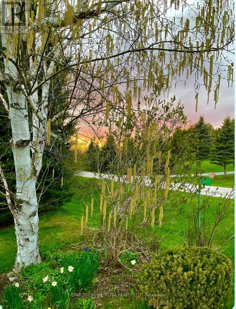 30 Tecumseth Heights Drive, New Tecumseth, Ontario  L0G 1W0 - Photo 44 - N12572046