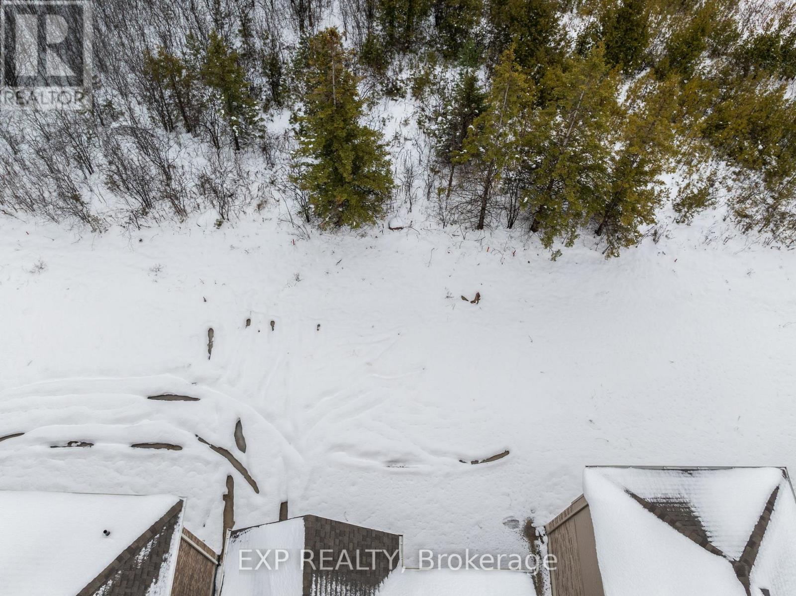 17 Jeanne Pynn Avenue, Georgina, Ontario  L0E 1L0 - Photo 31 - N12590074