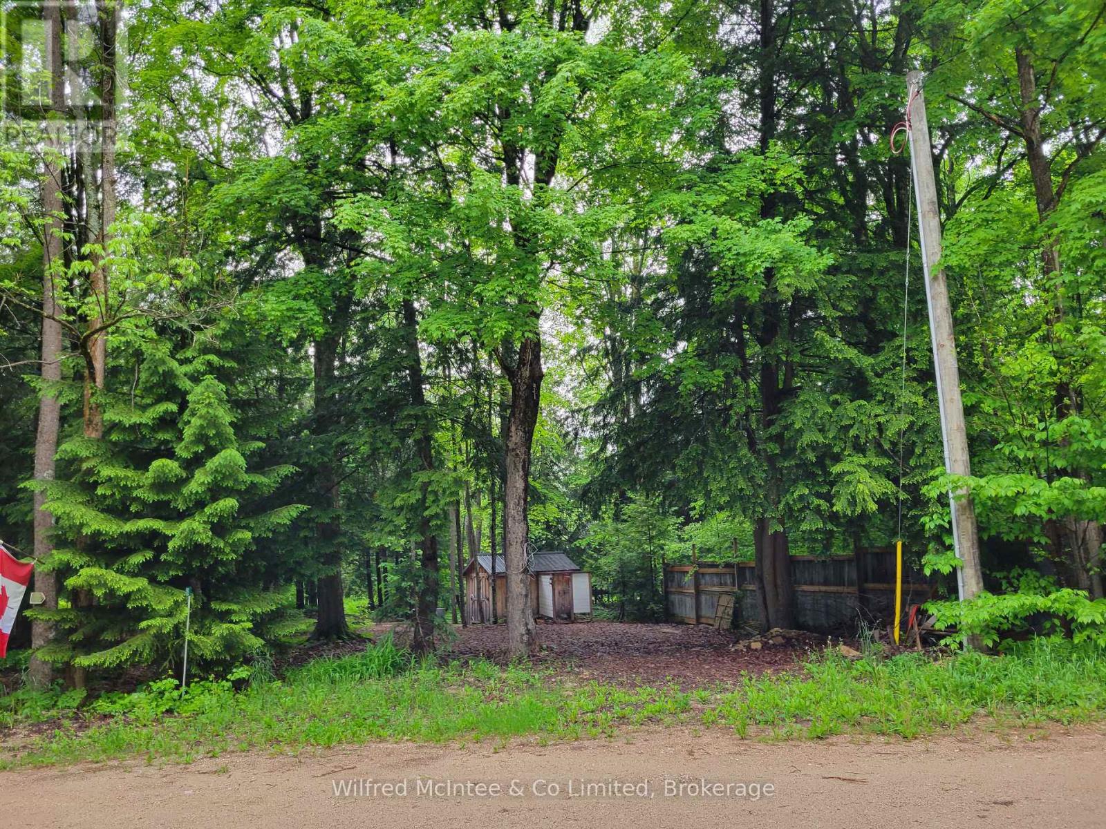 183 Anderson Drive, West Grey, Ontario  N0G 1S0 - Photo 2 - X12202975