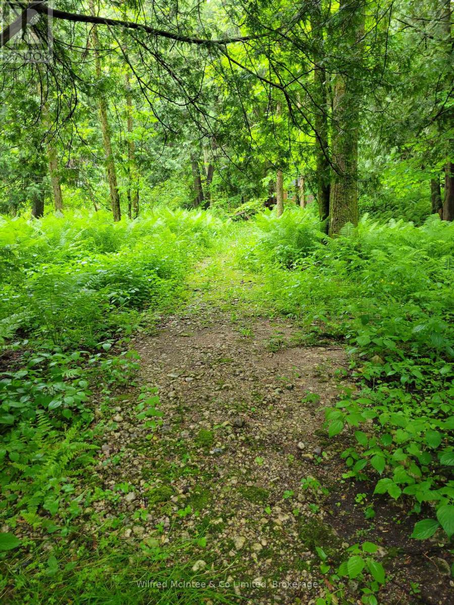 183 Anderson Drive, West Grey, Ontario  N0G 1S0 - Photo 5 - X12202975