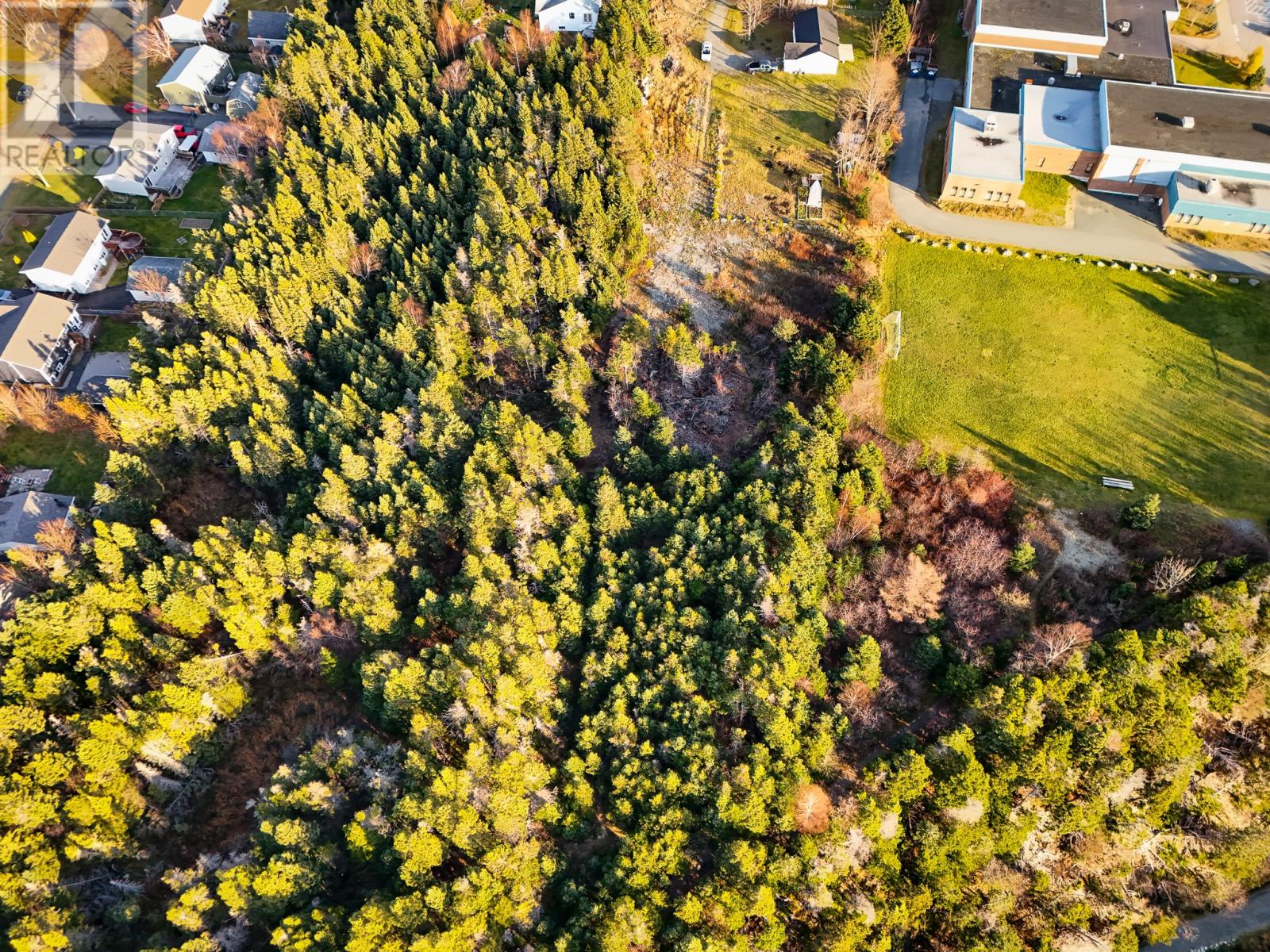 21 Hiscock's Lane, Cbs, Newfoundland & Labrador  A1W 5C2 - Photo 3 - 1293034