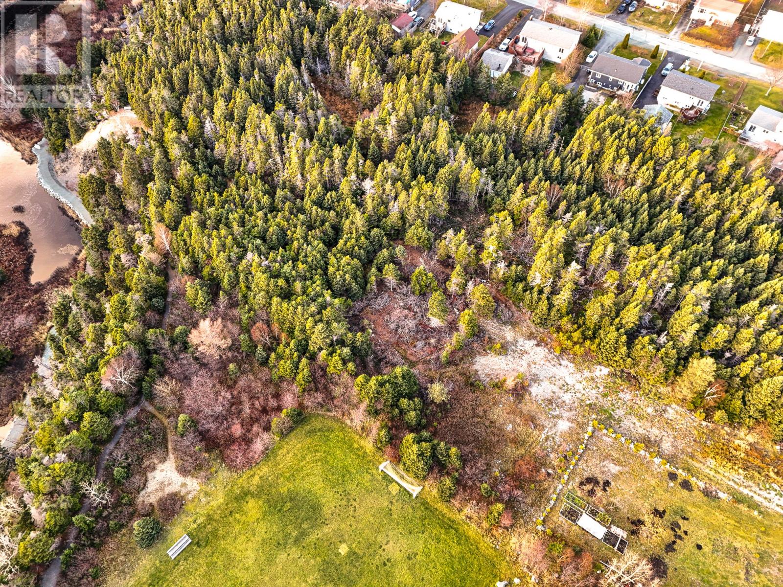 21 Hiscock's Lane, Cbs, Newfoundland & Labrador  A1W 5C2 - Photo 5 - 1293034