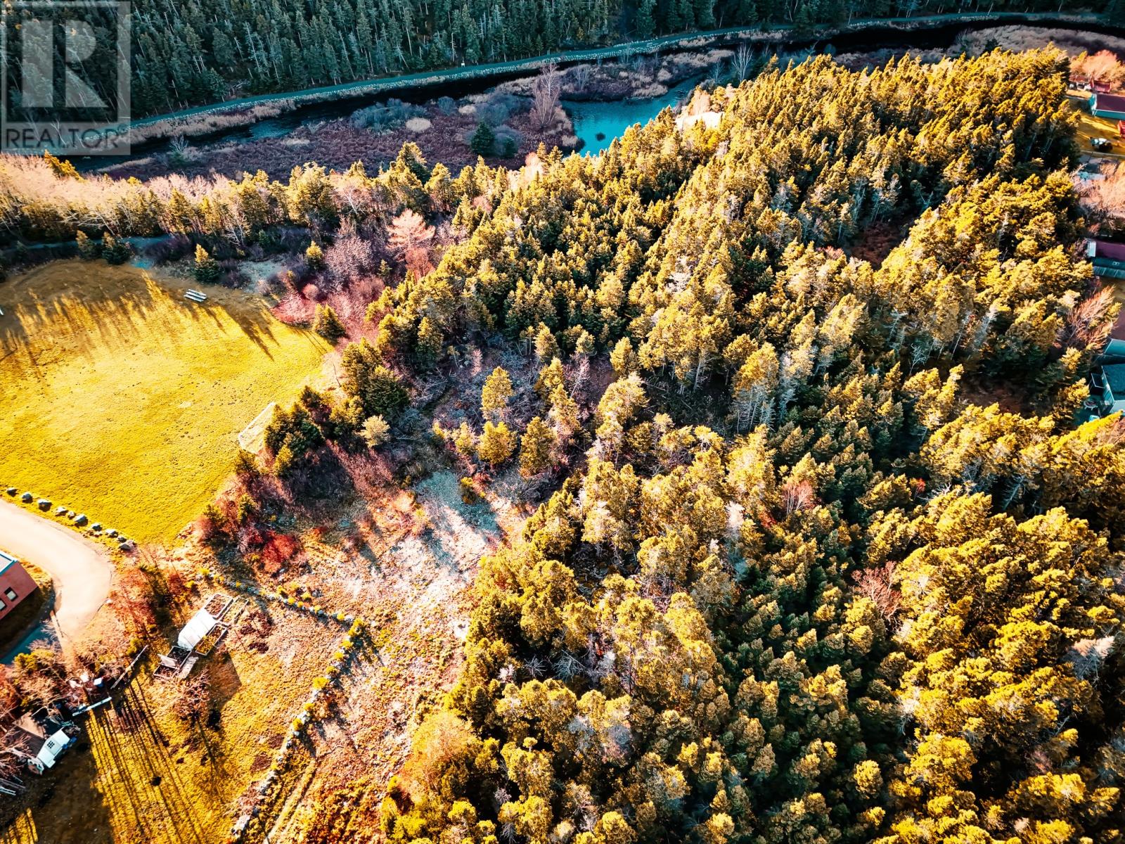 21 Hiscock's Lane, Cbs, Newfoundland & Labrador  A1W 5C2 - Photo 7 - 1293034