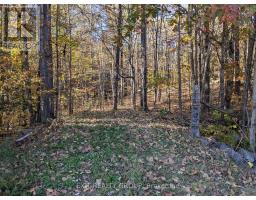 0 FLINTON ROAD, Tweed, Ontario