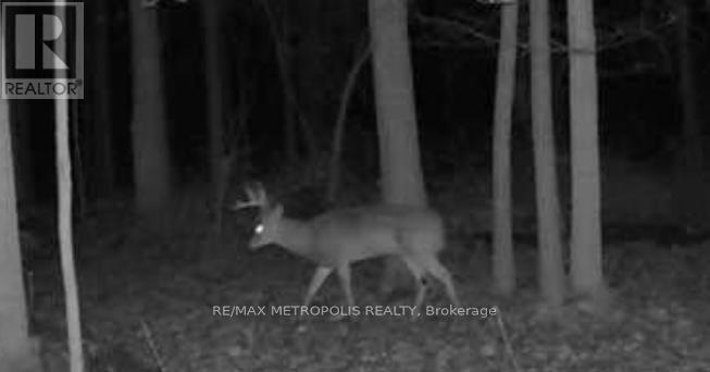 18 Nestorville Road, Thessalon, Ontario  P0R 1L0 - Photo 17 - X12590182