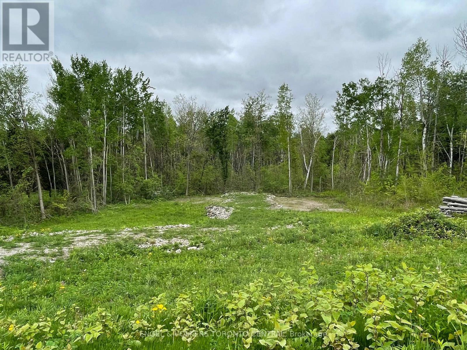 14 Winter Road, Trent Hills, Ontario  K0K 3K0 - Photo 7 - X12590224