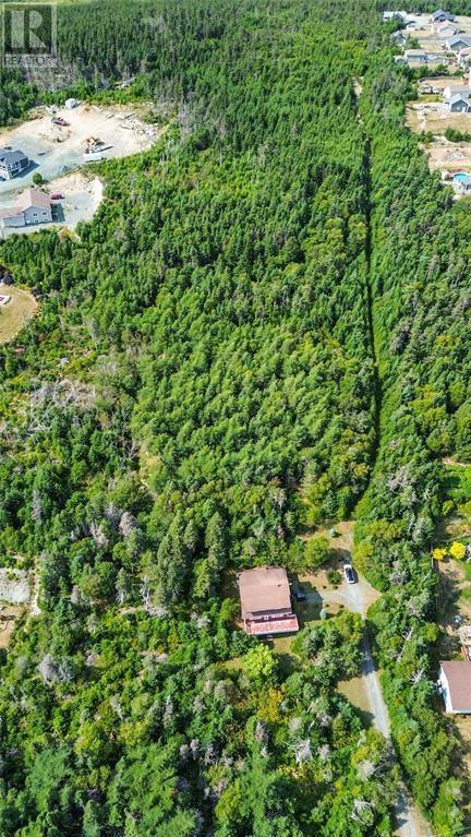 582-594 Indian Meal Line, Torbay, Newfoundland & Labrador  A1K 1G5 - Photo 1 - 1293026