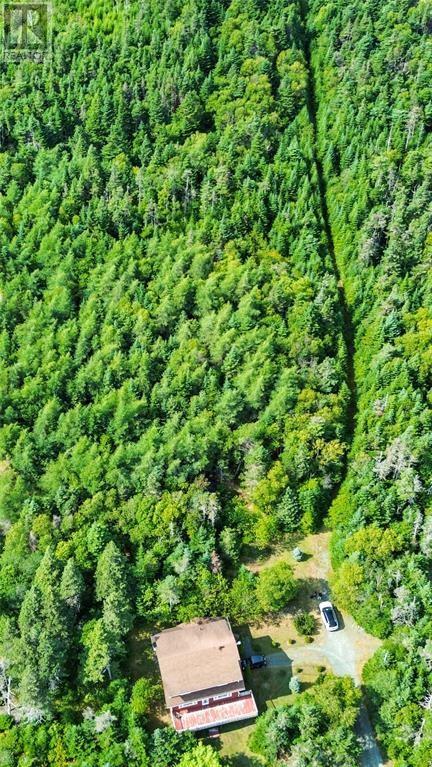 582-594 Indian Meal Line, Torbay, Newfoundland & Labrador  A1K 1G5 - Photo 3 - 1293026