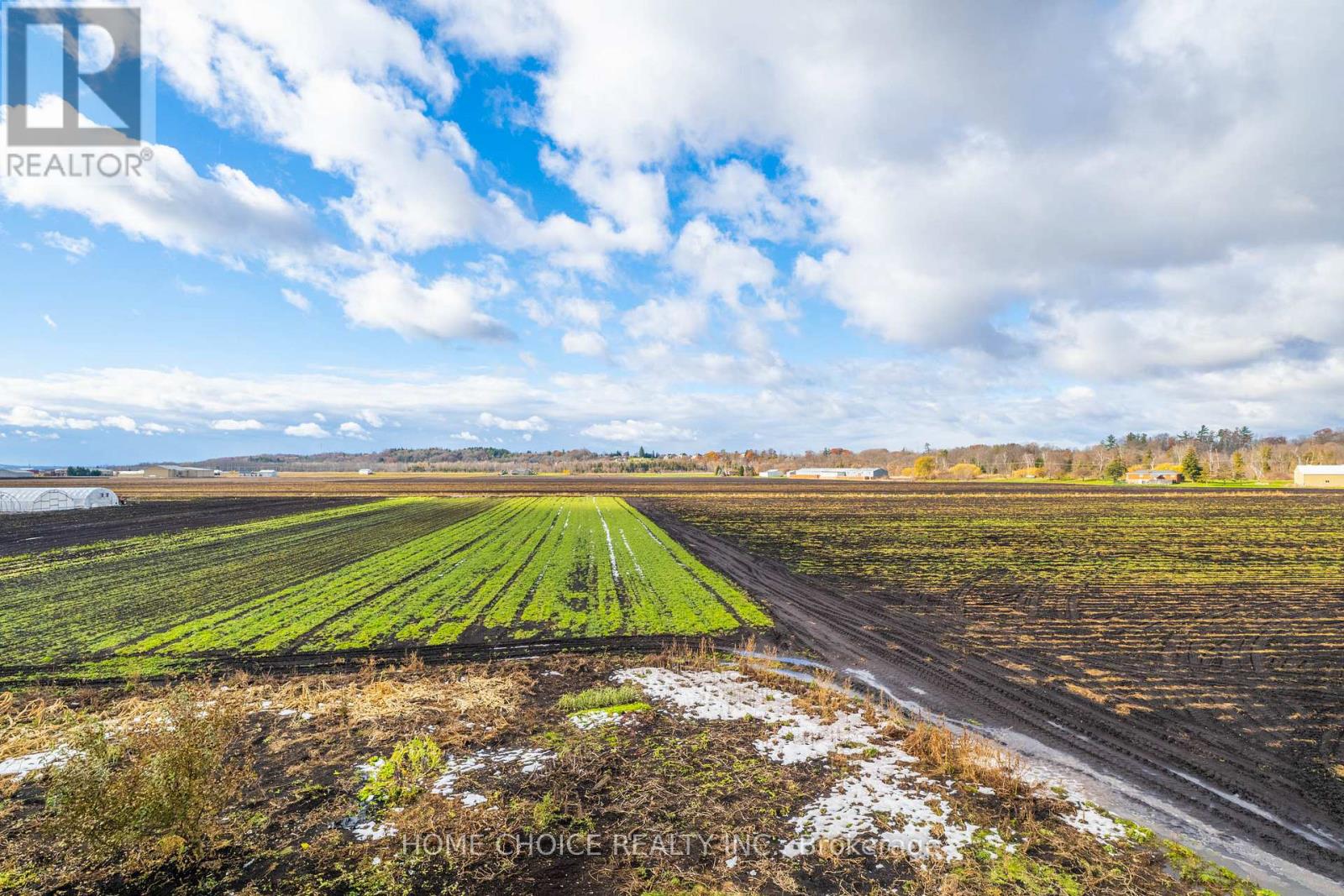 144 Fraser Street, Bradford West Gwillimbury, Ontario  L3Z 3Y8 - Photo 40 - N12590286