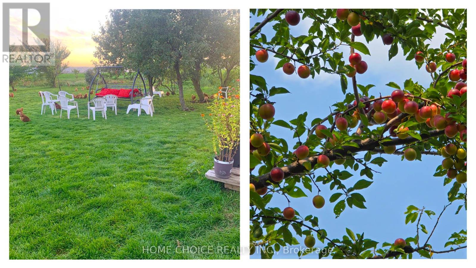 144 Fraser Street, Bradford West Gwillimbury, Ontario  L3Z 3Y8 - Photo 46 - N12590286