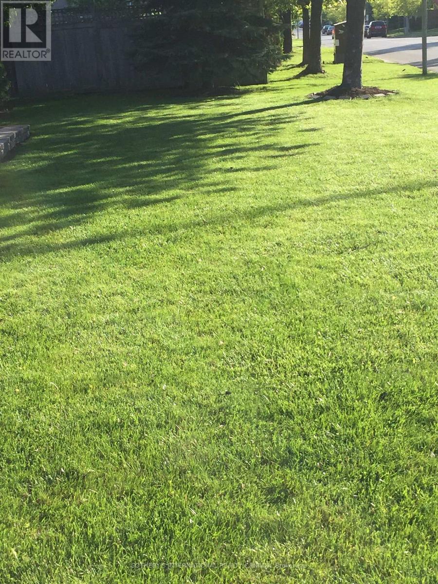 Room #a - 5959 Foxbridge Place, Mississauga, Ontario  L5M 6K5 - Photo 23 - W12590460