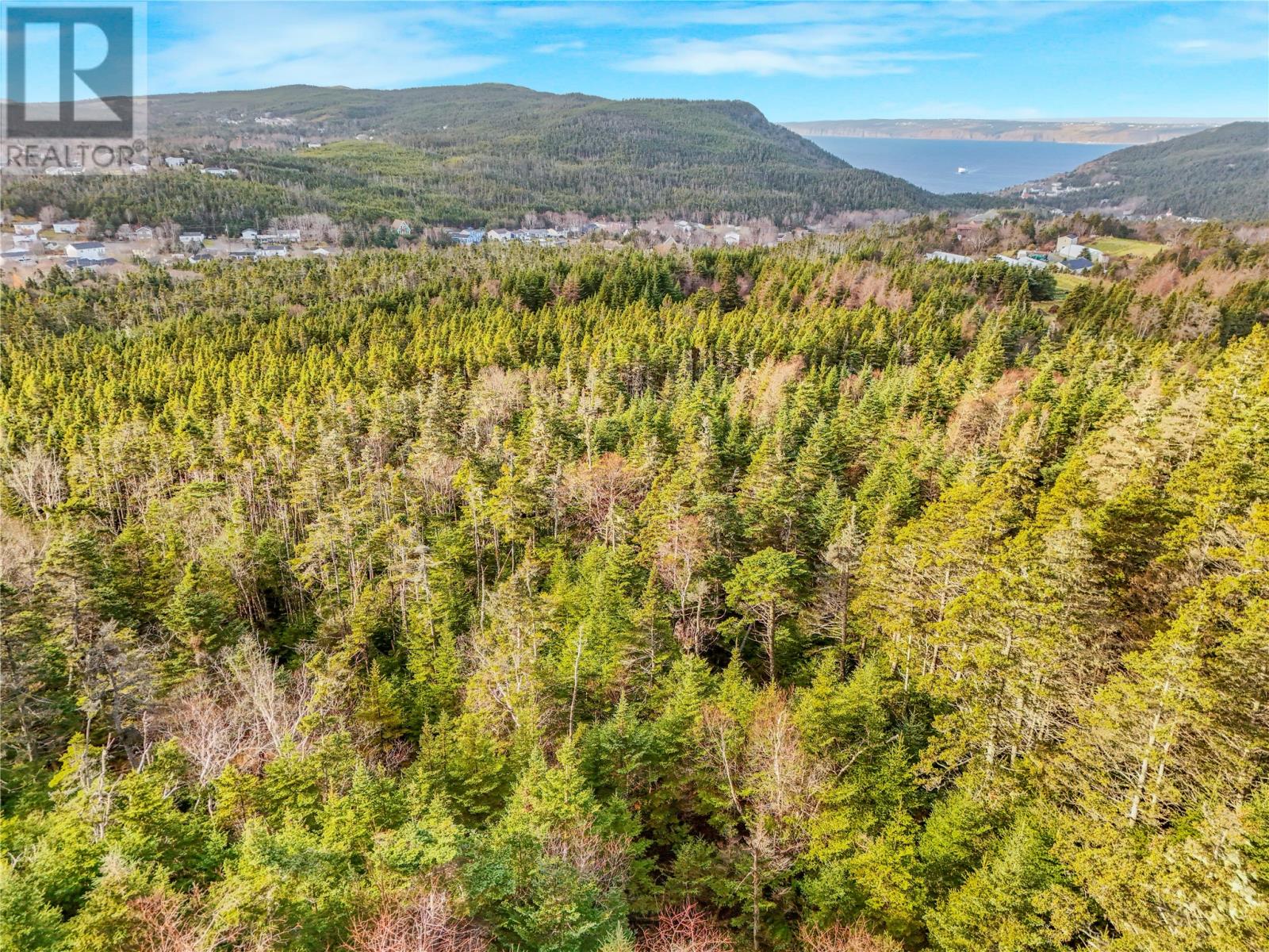 25 Farm Road, Portugal Cove, Newfoundland & Labrador  A1M 2T3 - Photo 30 - 1293012