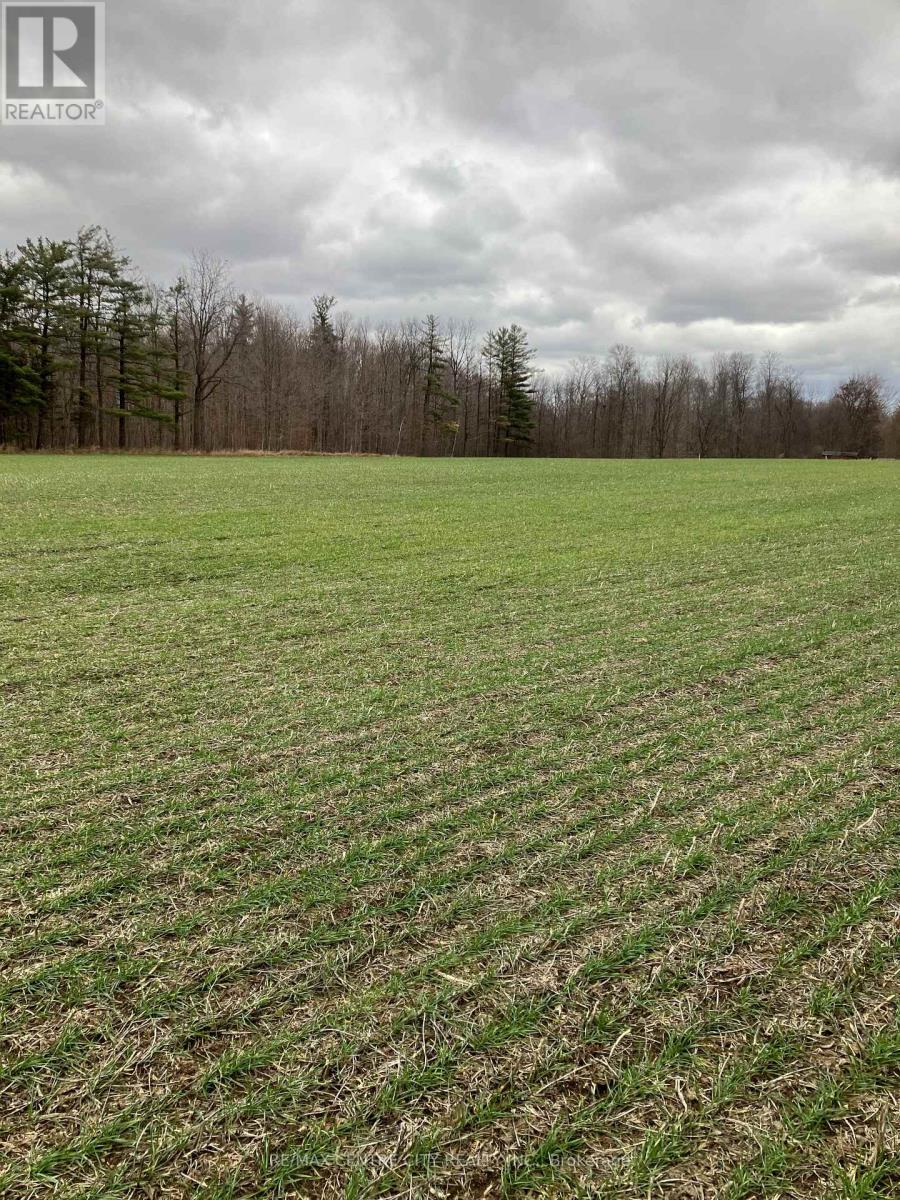 Ptlot26 Prince William Street, North Middlesex, Ontario N0M 2J0 - Photo 8 - X12424315