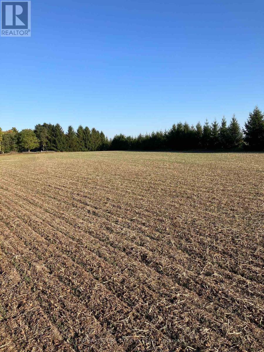 Ptlot26 Prince William Street, North Middlesex, Ontario N0M 2J0 - Photo 6 - X12424315