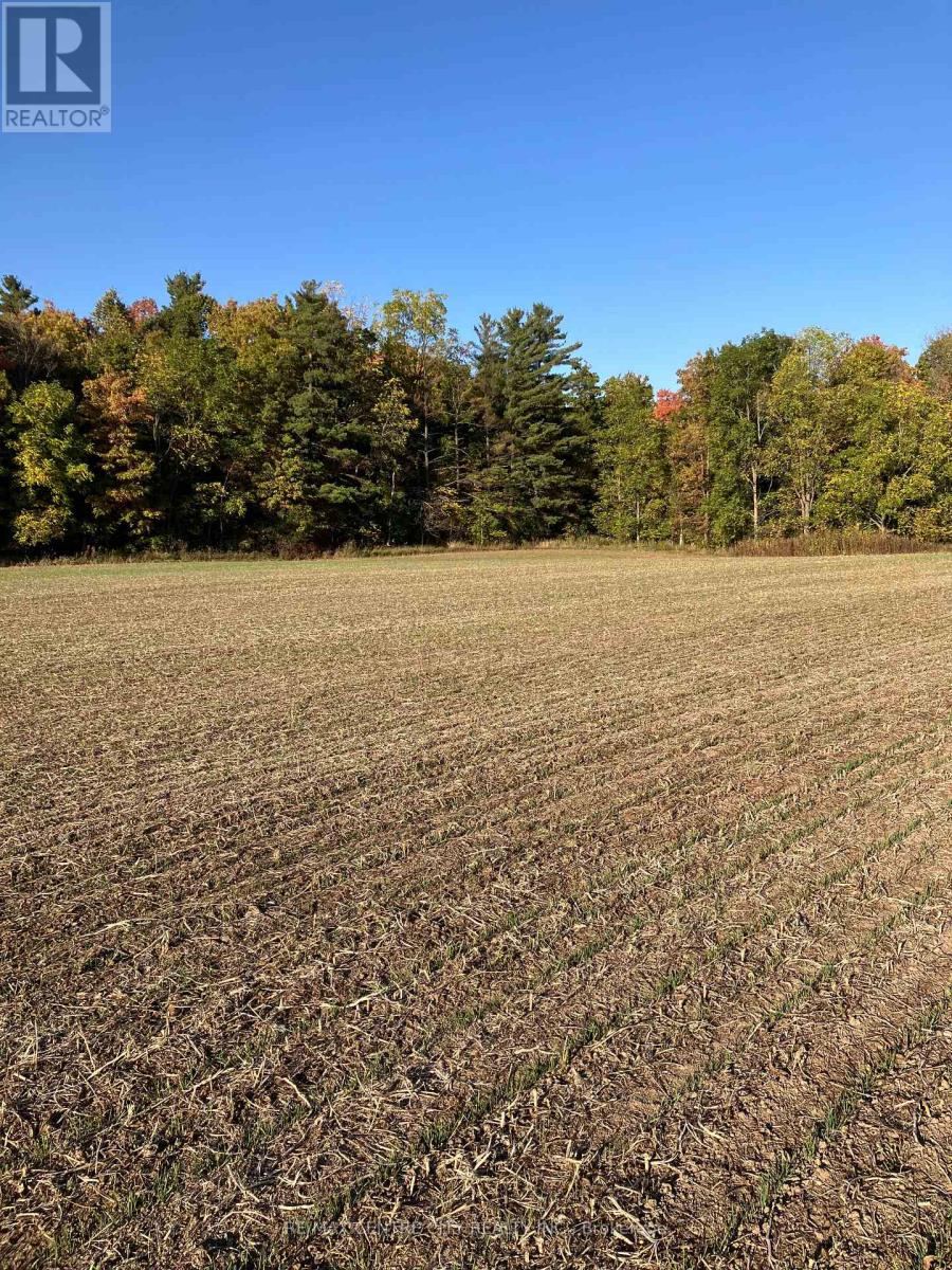 Ptlot26 Prince William Street, North Middlesex, Ontario N0M 2J0 - Photo 5 - X12424315