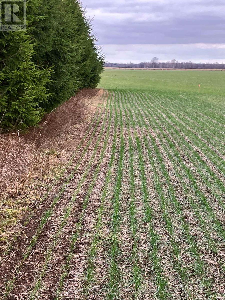 Ptlot26 Prince William Street, North Middlesex, Ontario N0M 2J0 - Photo 9 - X12424315