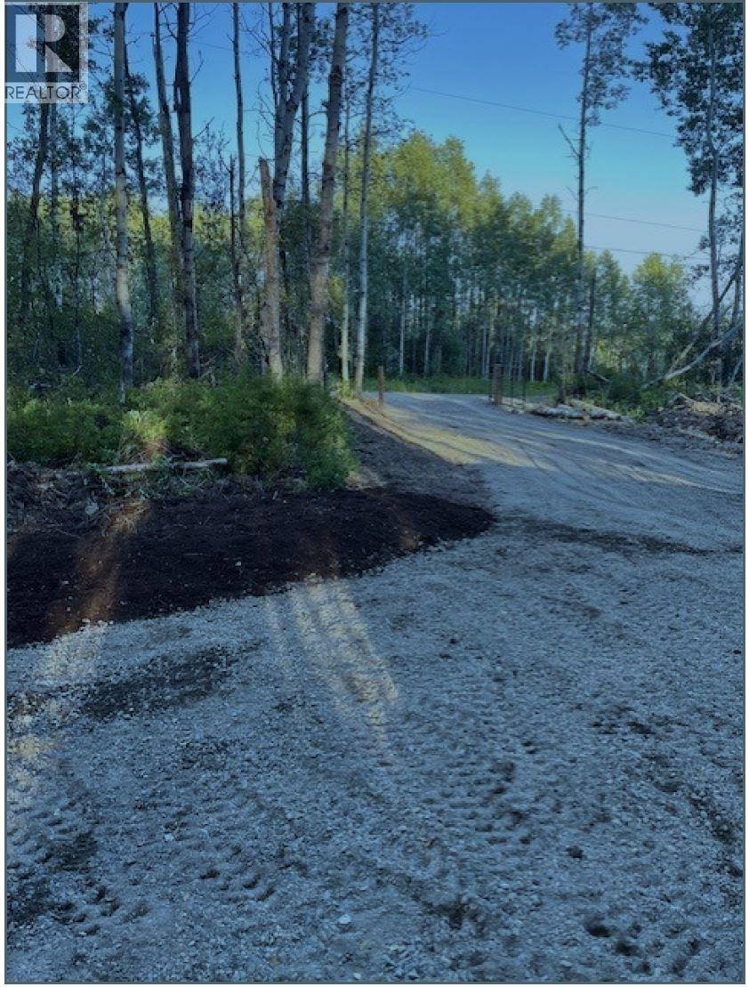 Lot 3 Pinchi Lake Road, Fort St. James, British Columbia  V0J 1P0 - Photo 3 - R3070964