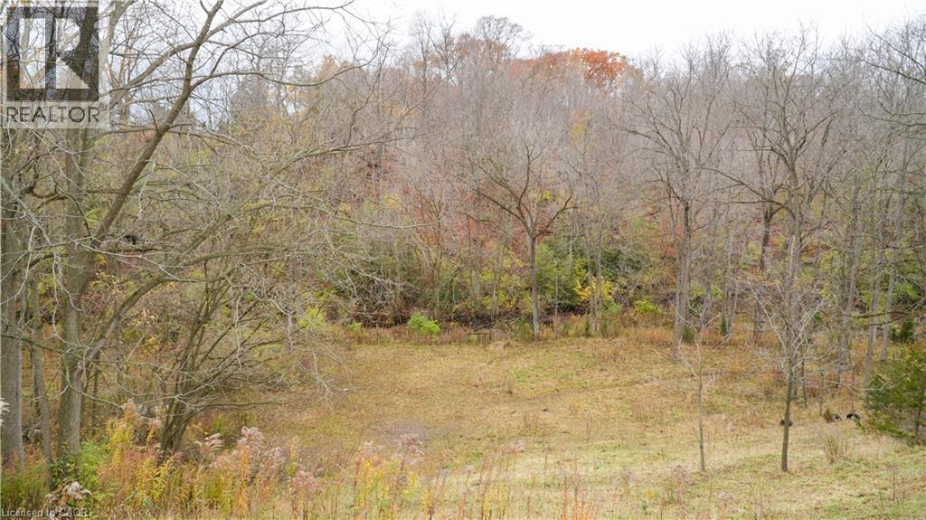 12667 Talbot Trail, Ridgetown, Ontario  N0P 2C0 - Photo 13 - 40789614