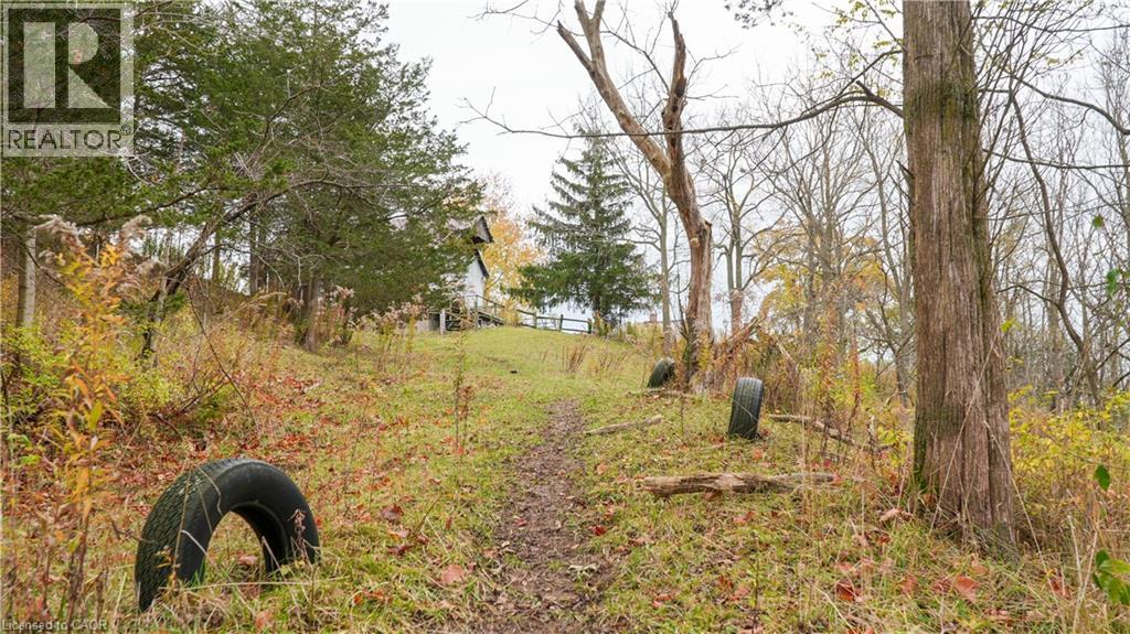 12667 Talbot Trail, Ridgetown, Ontario  N0P 2C0 - Photo 14 - 40789614