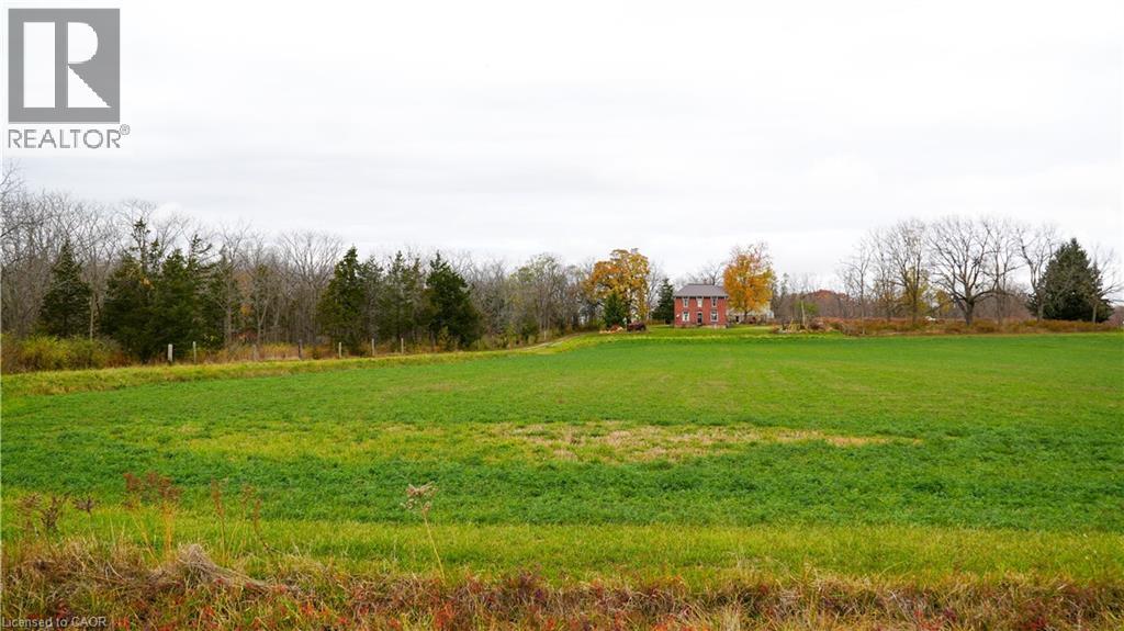 12667 Talbot Trail, Ridgetown, Ontario  N0P 2C0 - Photo 22 - 40789614