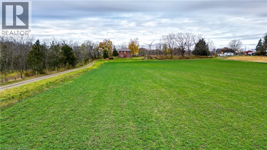 12667 Talbot Trail, Ridgetown, Ontario  N0P 2C0 - Photo 5 - 40789614