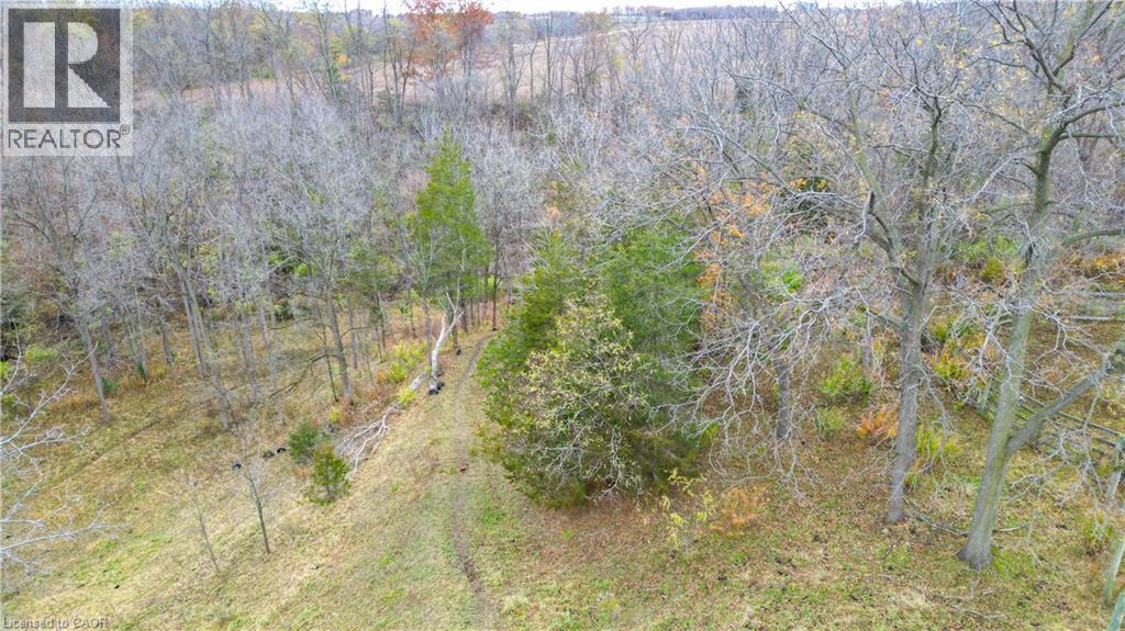 12667 Talbot Trail, Ridgetown, Ontario  N0P 2C0 - Photo 8 - 40789614