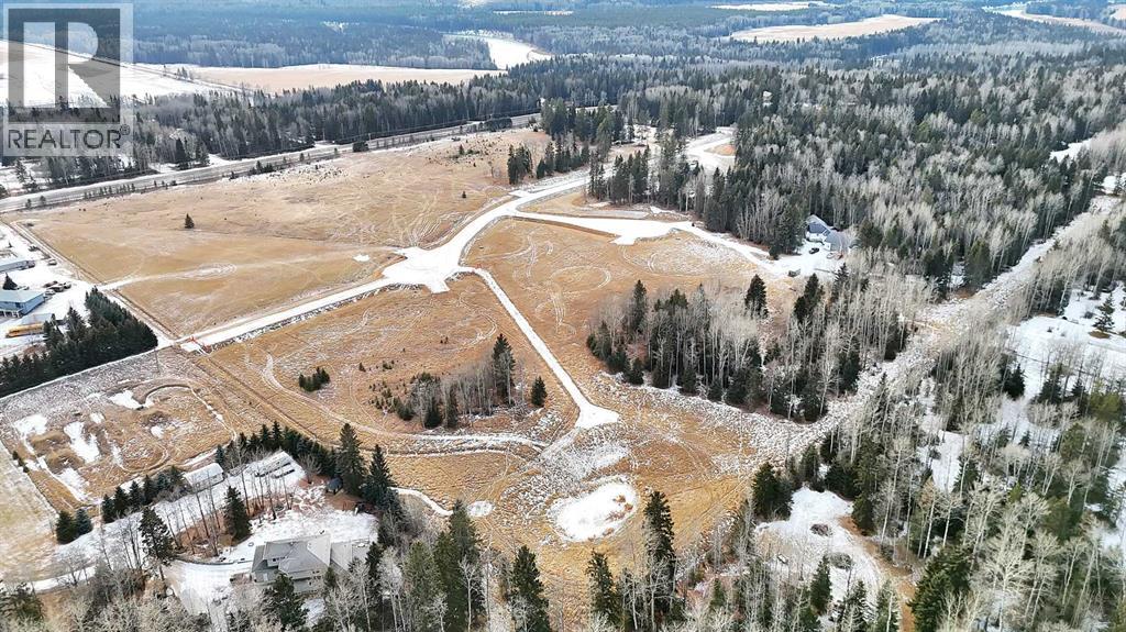 205 Fox Stone Place, Rural Clearwater County, Alberta  T4T 2A4 - Photo 10 - A2001788