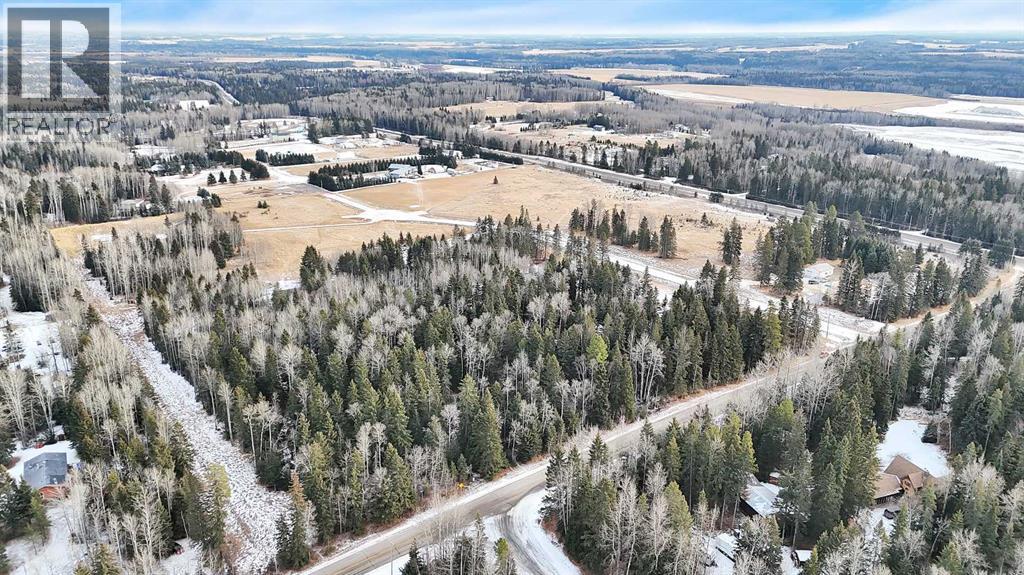 205 Fox Stone Place, Rural Clearwater County, Alberta  T4T 2A4 - Photo 9 - A2001788