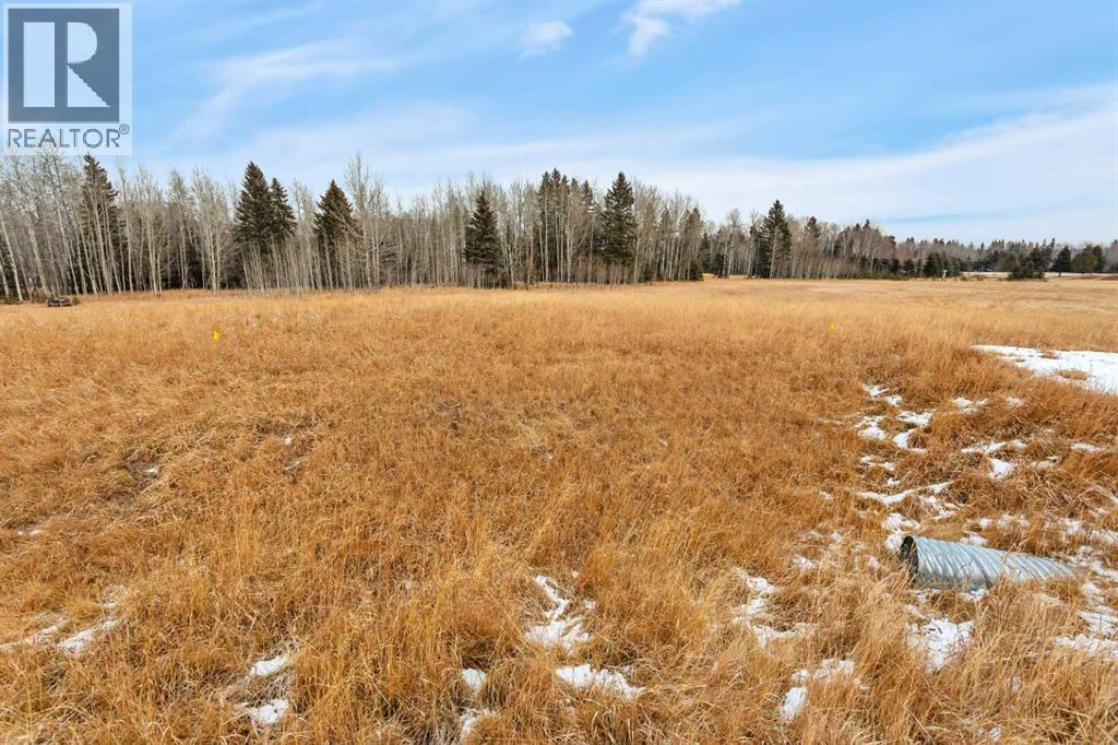 205 Fox Stone Place, Rural Clearwater County, Alberta  T4T 2A4 - Photo 4 - A2001788
