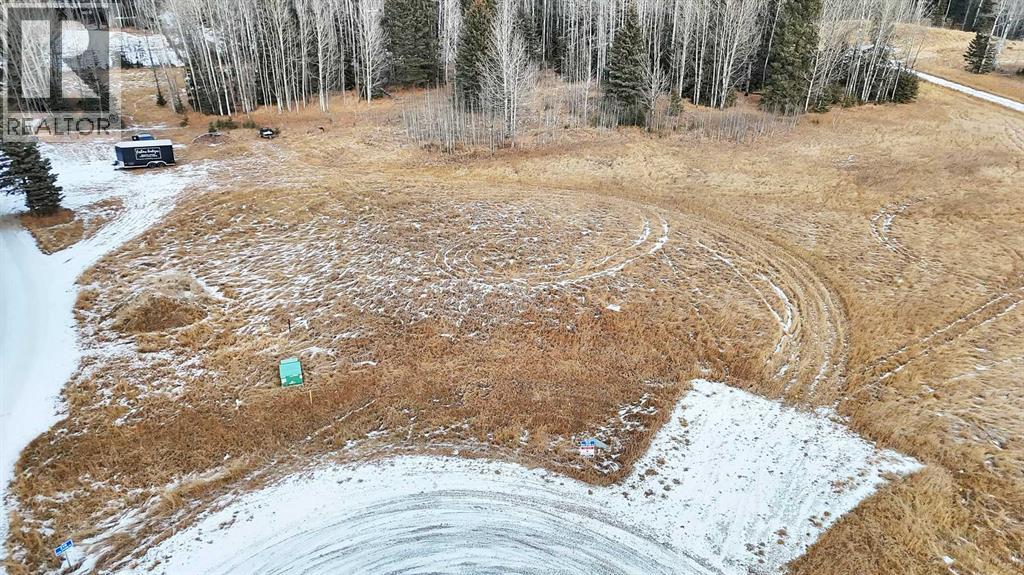 205 Fox Stone Place, Rural Clearwater County, Alberta  T4T 2A4 - Photo 3 - A2001788