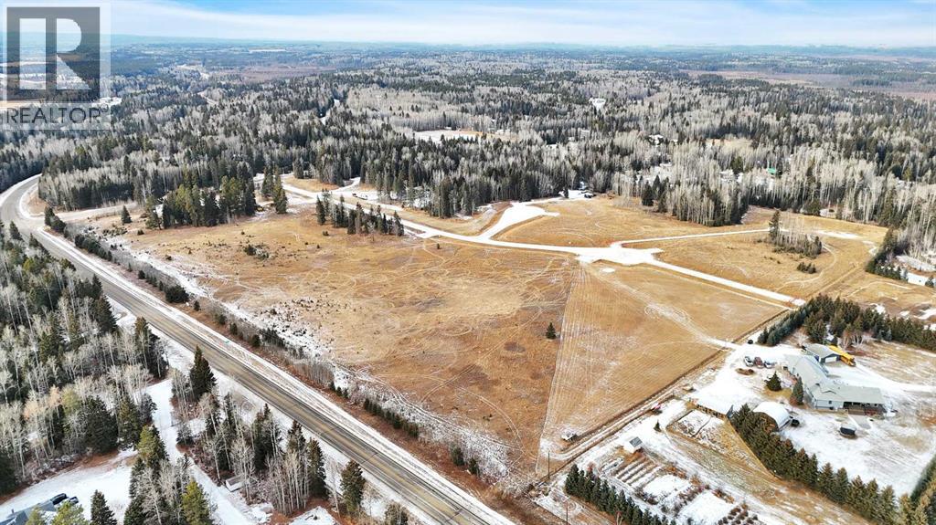 205 Fox Stone Place, Rural Clearwater County, Alberta  T4T 2A4 - Photo 11 - A2001788