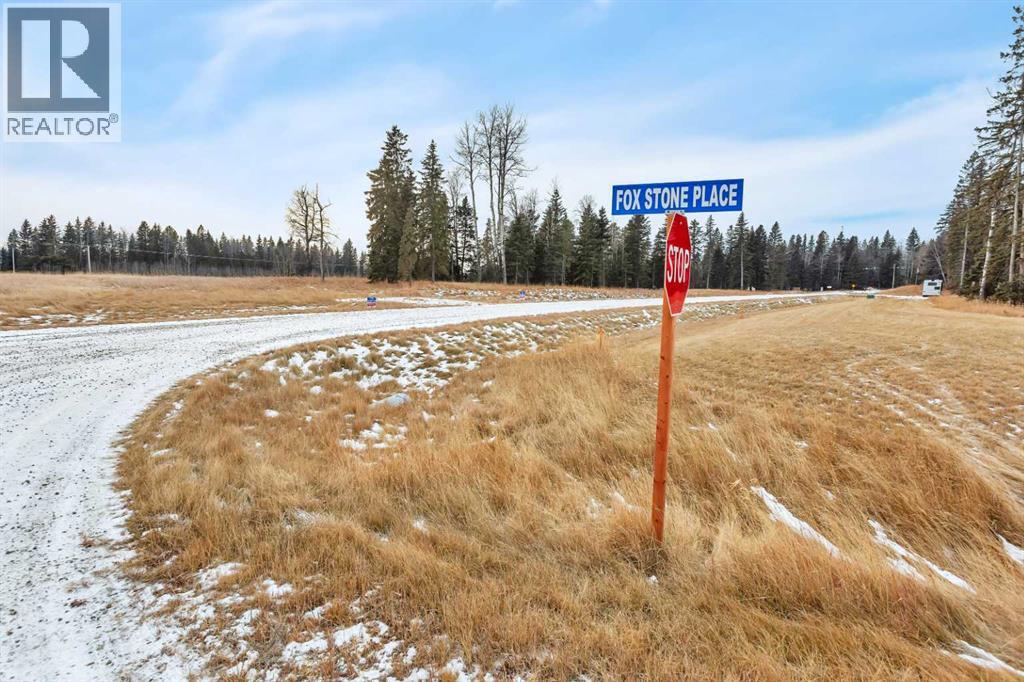 205 Fox Stone Place, Rural Clearwater County, Alberta  T4T 2A4 - Photo 7 - A2001788