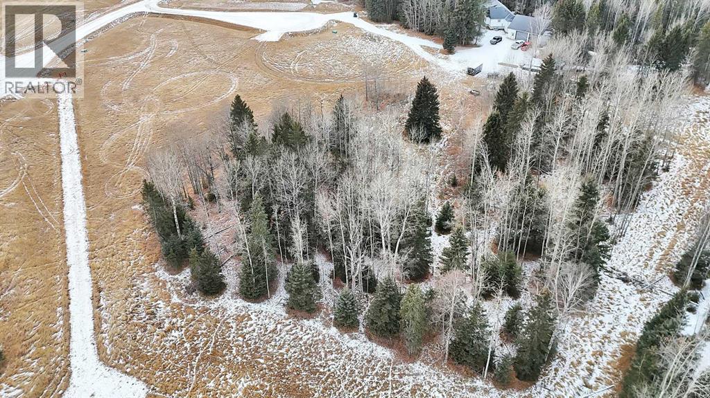 205 Fox Stone Place, Rural Clearwater County, Alberta  T4T 2A4 - Photo 5 - A2001788