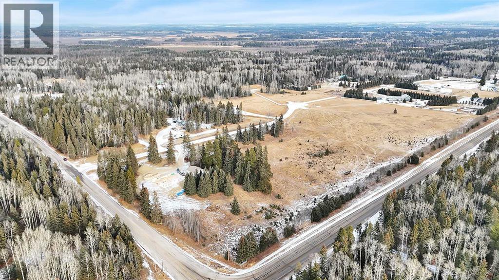 205 Fox Stone Place, Rural Clearwater County, Alberta  T4T 2A4 - Photo 12 - A2001788