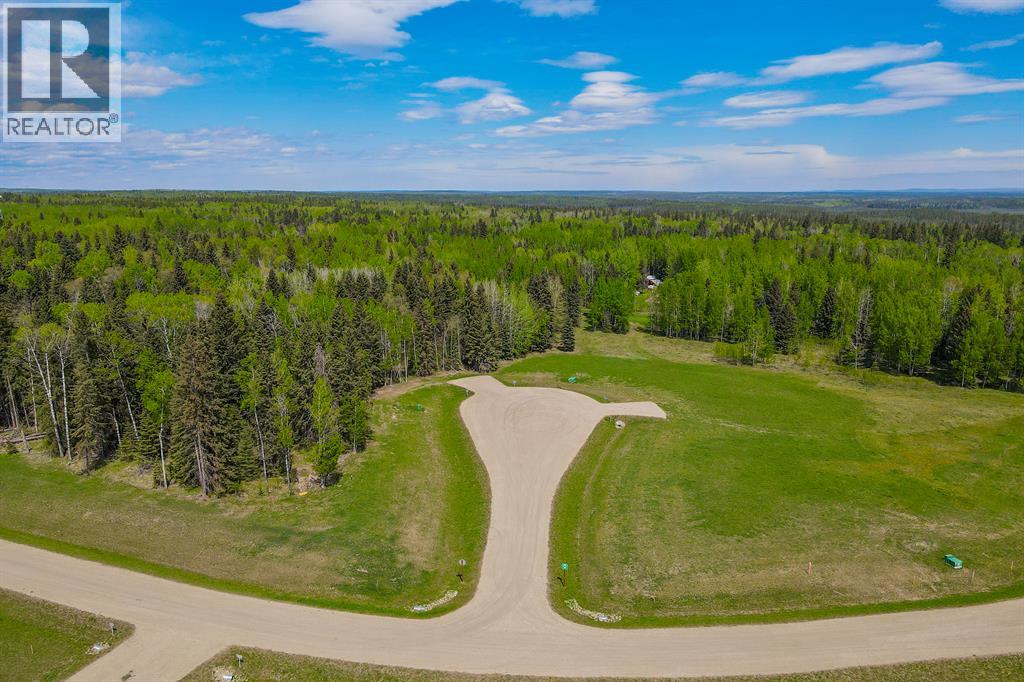 205 Fox Stone Place, Rural Clearwater County, Alberta  T4T 2A4 - Photo 28 - A2001788