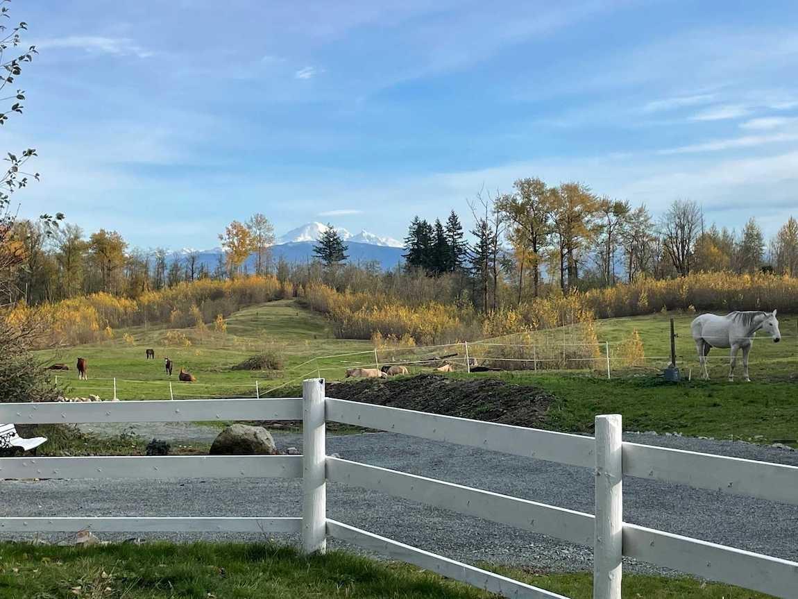 558 248 Street, Langley, British Columbia V4W 2H2 - Photo 27 - R3071094