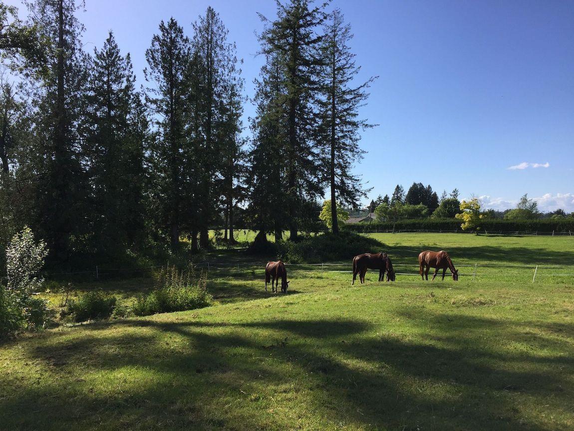 558 248 Street, Langley, British Columbia V4W 2H2 - Photo 28 - R3071094