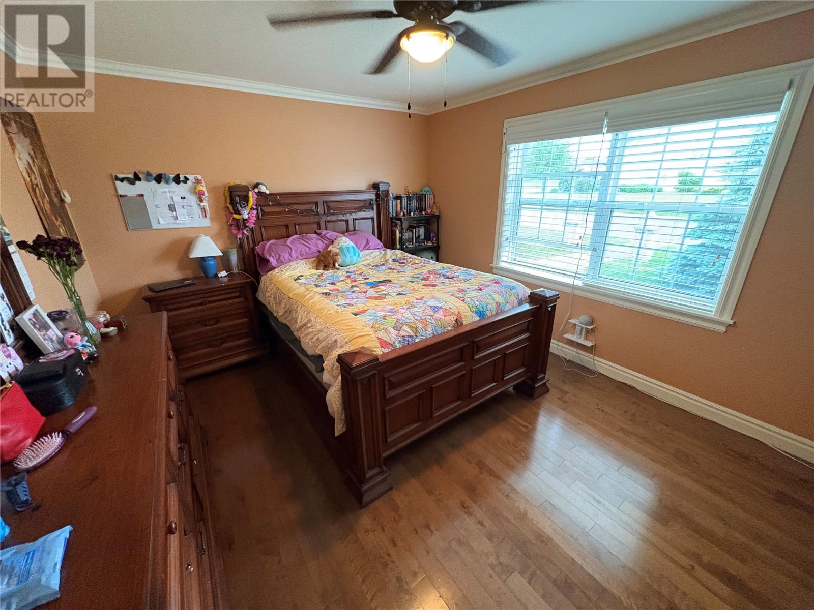 50 Thomas Street, Grand Falls Windsor, Newfoundland & Labrador  A2A 2V6 - Photo 34 - 1293024