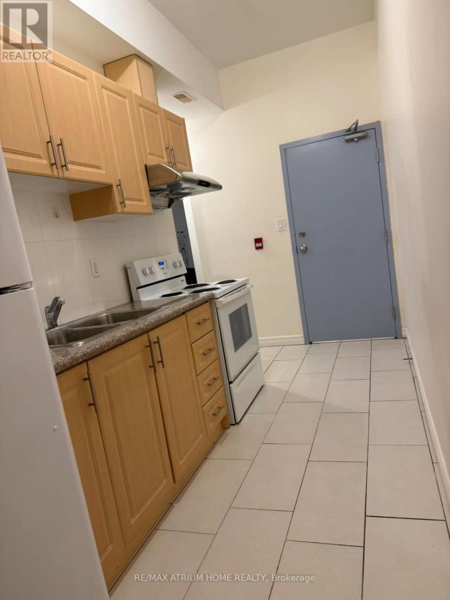 201 - 413 Spadina Avenue, Toronto, Ontario  M5T 2G6 - Photo 2 - C12591042