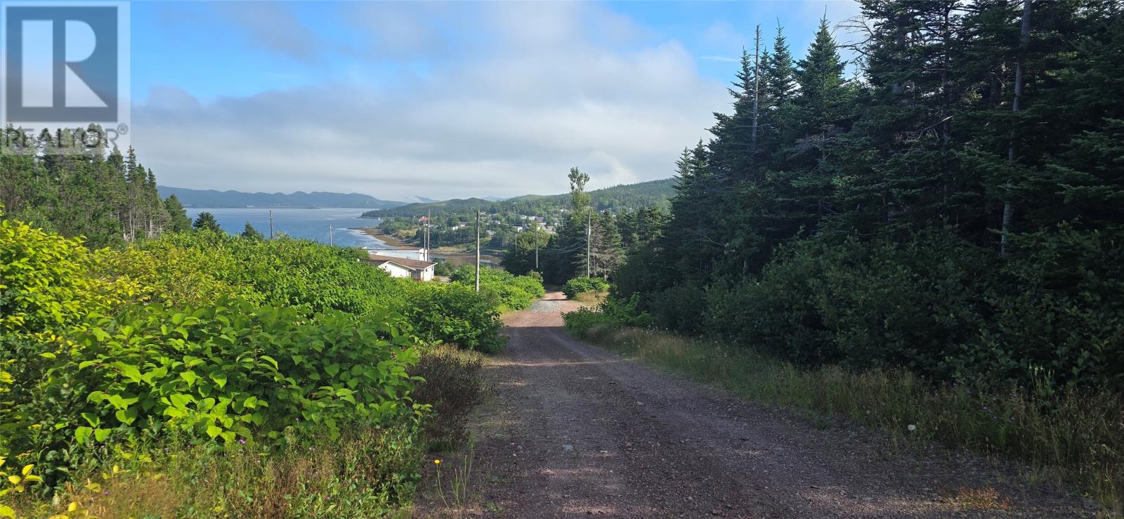 100c Main Street, Lewin's Cove, Newfoundland & Labrador  A0E 2G0 - Photo 6 - 1287792