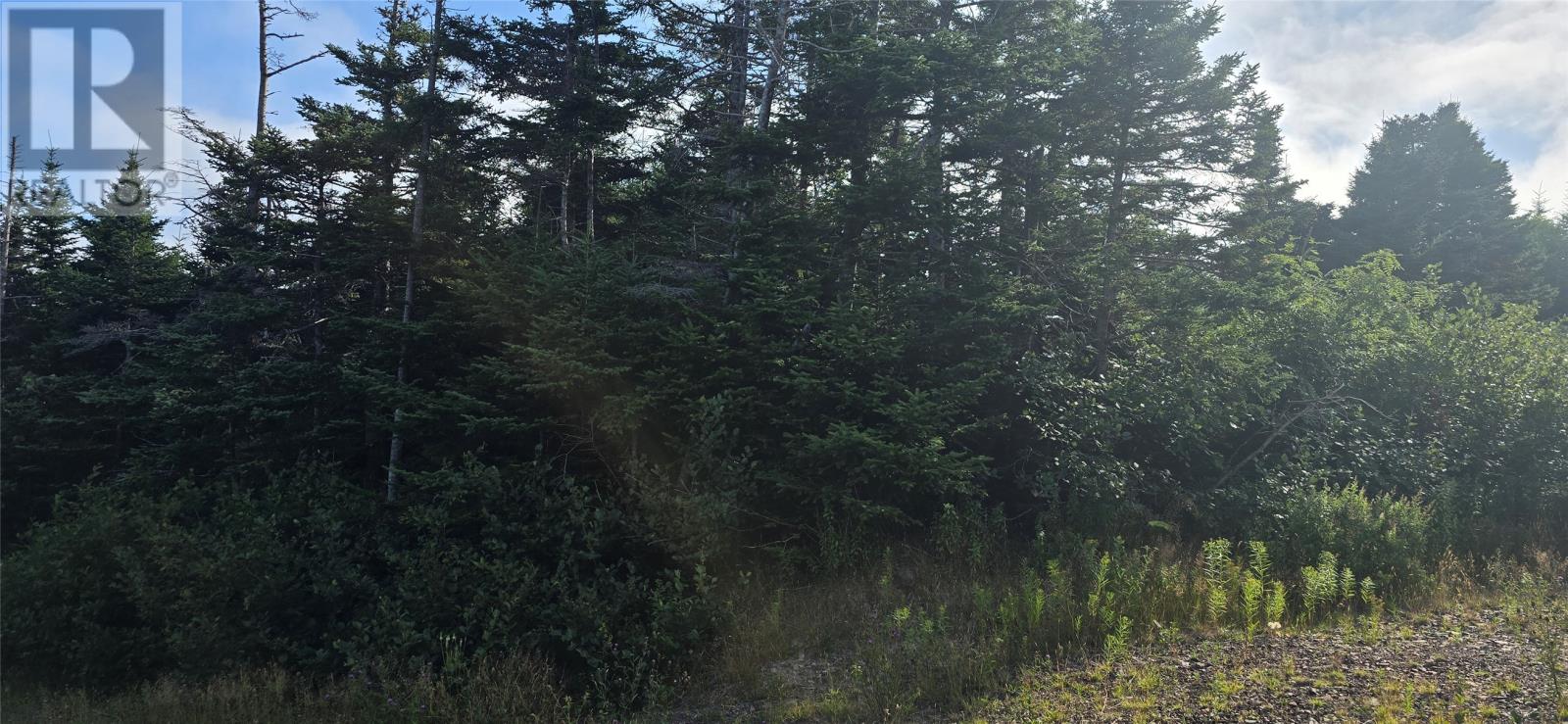 100c Main Street, Lewin's Cove, Newfoundland & Labrador  A0E 2G0 - Photo 7 - 1287792