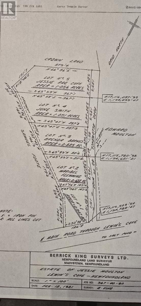 100c Main Street, Lewin's Cove, Newfoundland & Labrador  A0E 2G0 - Photo 9 - 1287792