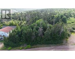 100C Main Street, Lewin's Cove, Newfoundland & Labrador