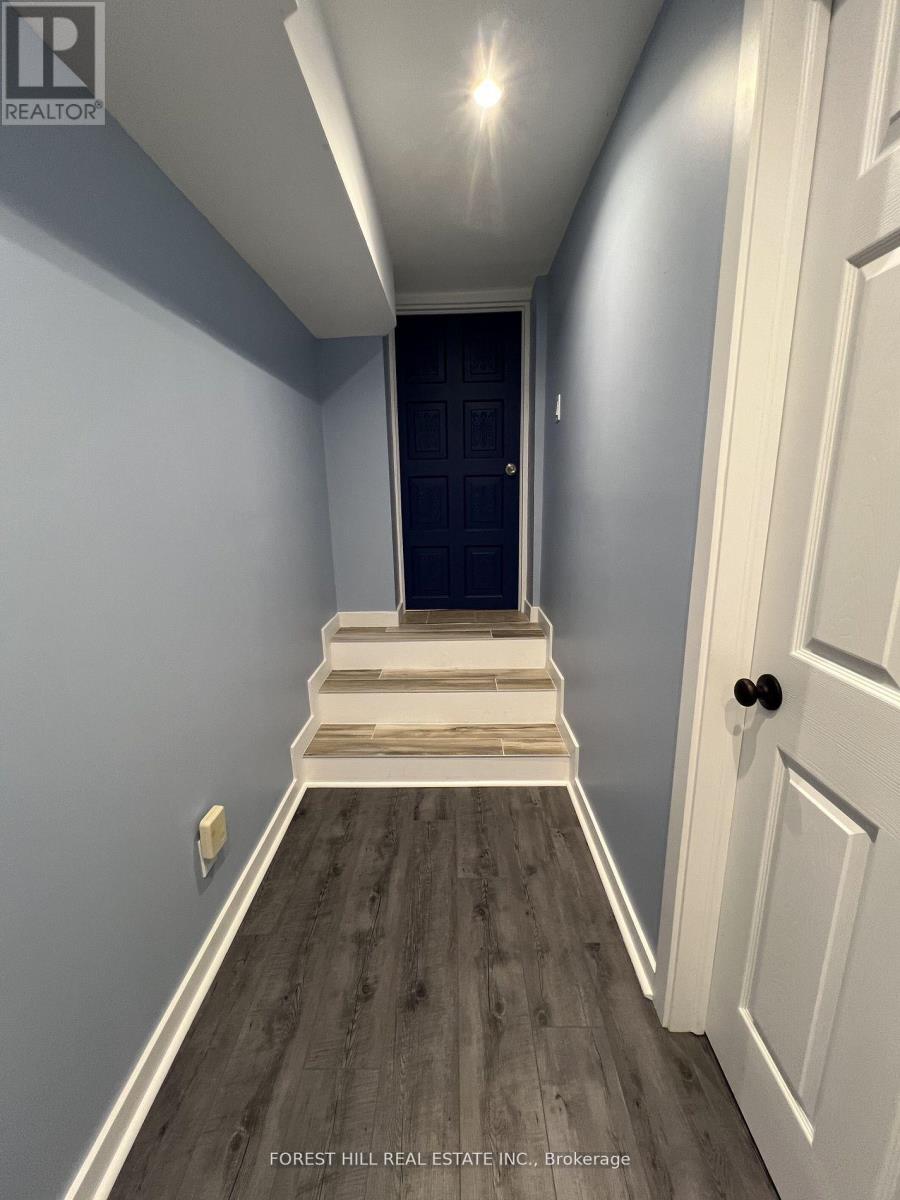 Lower - 168 Tyrrel Avenue W, Toronto, Ontario  M6G 2G8 - Photo 2 - C12578954