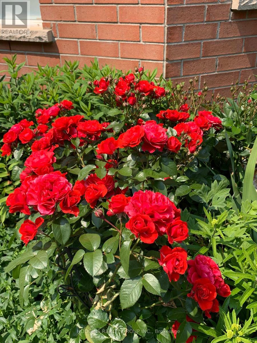 2286 Yorktown Circle, Mississauga, Ontario  L5M 5Y1 - Photo 35 - W12563528