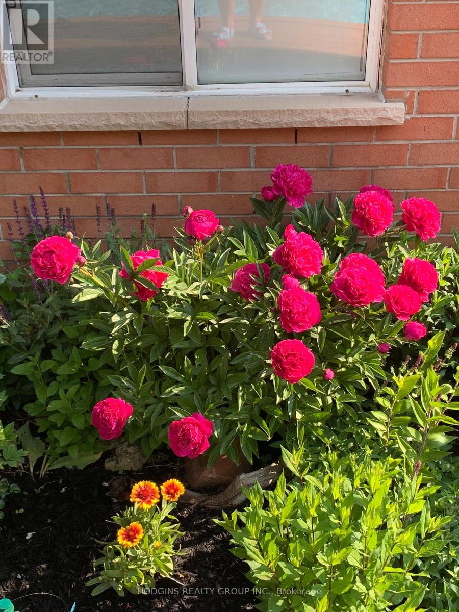 2286 Yorktown Circle, Mississauga, Ontario  L5M 5Y1 - Photo 34 - W12563528