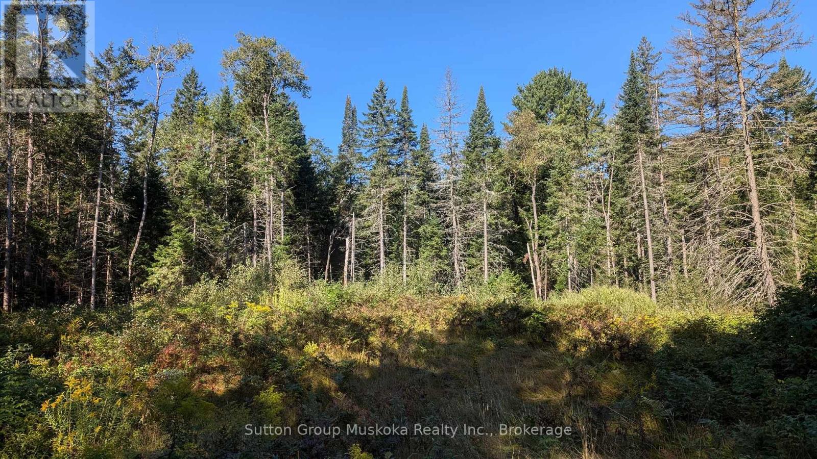 Lot 17 Crimson Lane, Huntsville, Ontario  P0B 1L0 - Photo 5 - X12591276