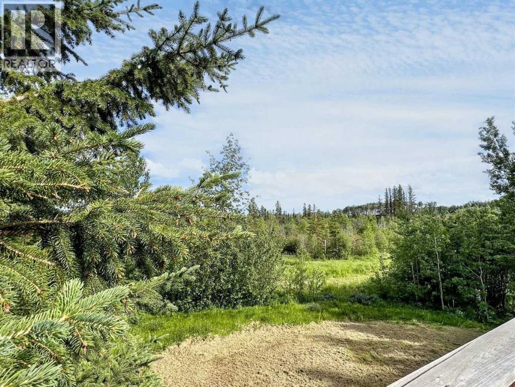 57 Poplar Crescent, Gregoire Lake Estates, Alberta  T9H 5S1 - Photo 35 - A2267503