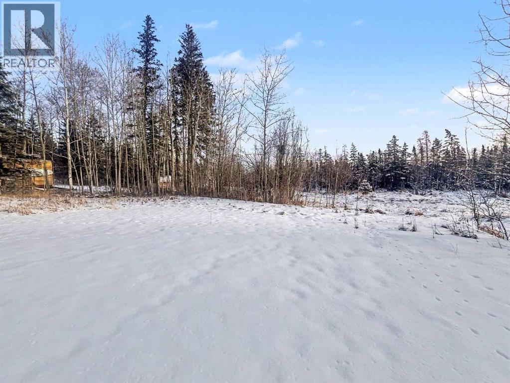 57 Poplar Crescent, Gregoire Lake Estates, Alberta  T9H 5S1 - Photo 41 - A2267503