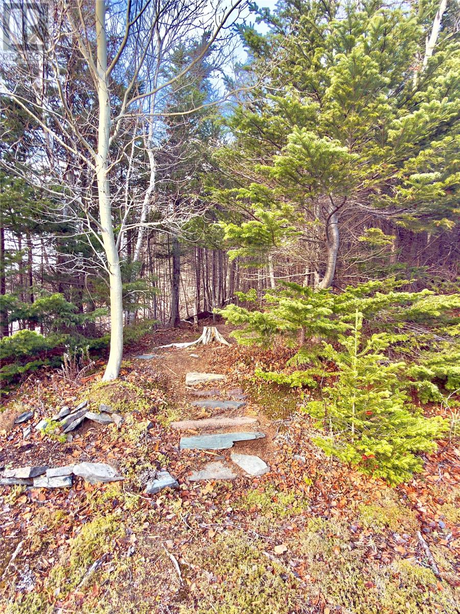 112 Terra Nova Drive, Clarenville, Newfoundland & Labrador  A5A 1Y8 - Photo 48 - 1293011